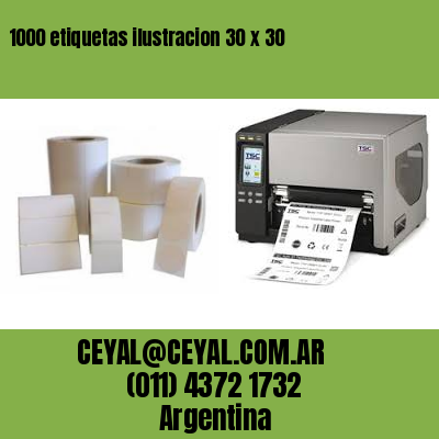 1000 etiquetas ilustracion 30 x 30