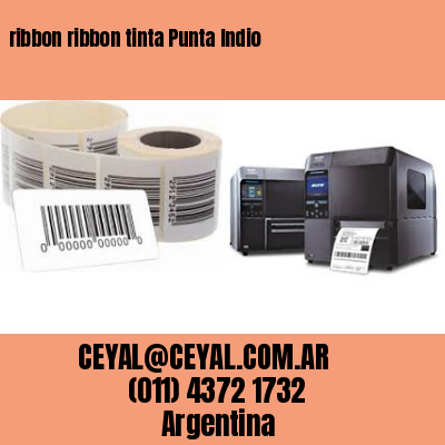 ribbon ribbon tinta Punta Indio