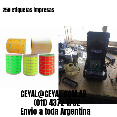 250 etiquetas impresas