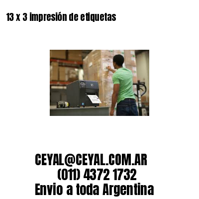 13 x 3 impresión de etiquetas