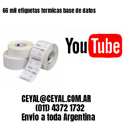 66 mil etiquetas termicas base de datos