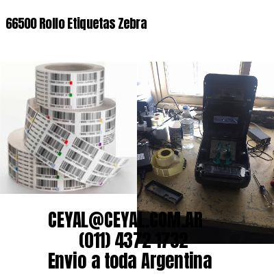 66500 Rollo Etiquetas Zebra