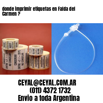 donde imprimir etiquetas en Falda del Carmen ?