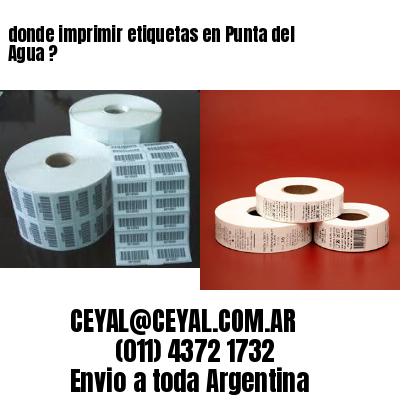 donde imprimir etiquetas en Punta del Agua ?