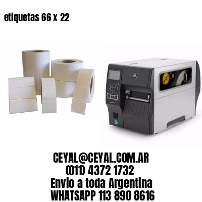 etiquetas 66 x 22