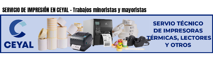 SERVICIO DE IMPRESIÓN EN CEYAL - Trabajos minoristas y mayoristas