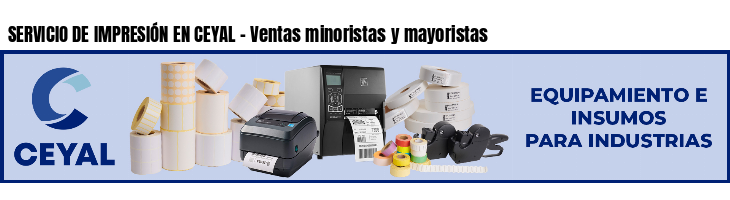 SERVICIO DE IMPRESIÓN EN CEYAL - Ventas minoristas y mayoristas