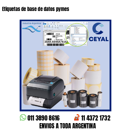 Etiquetas de base de datos pymes
