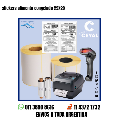 stickers alimento congelado 29X20
