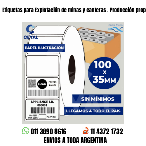 Etiquetas para Explotación de minas y canteras . Producción propia