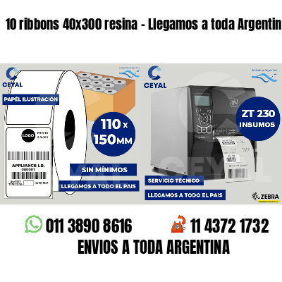 10 ribbons 40x300 resina - Llegamos a toda Argentina