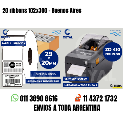 20 ribbons 102x300 - Buenos Aires
