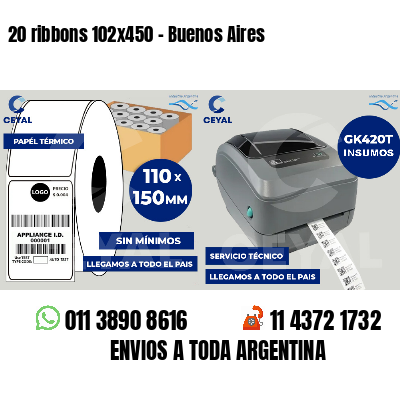 20 ribbons 102x450 - Buenos Aires