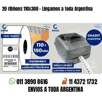 20 ribbons 110x300 - Llegamos a toda Argentina