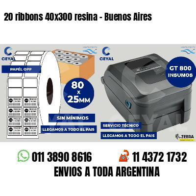 20 ribbons 40x300 resina - Buenos Aires