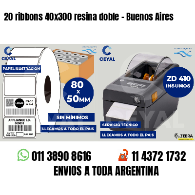 20 ribbons 40x300 resina doble - Buenos Aires