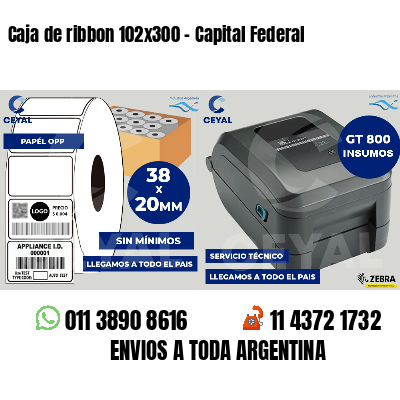 Caja de ribbon 102x300 - Capital Federal