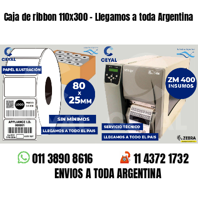 Caja de ribbon 110x300 - Llegamos a toda Argentina