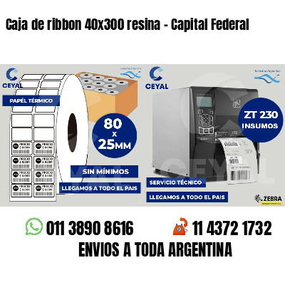 Caja de ribbon 40x300 resina - Capital Federal