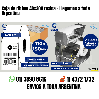 Caja de ribbon 40x300 resina - Llegamos a toda Argentina