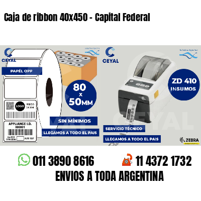 Caja de ribbon 40x450 - Capital Federal