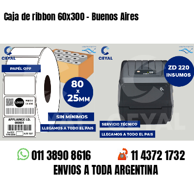 Caja de ribbon 60x300 - Buenos Aires