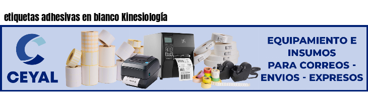 etiquetas adhesivas en blanco Kinesiología
