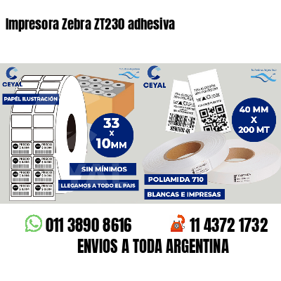 Impresora Zebra ZT230 adhesiva