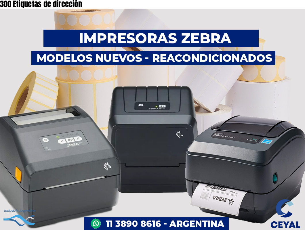 300 Etiquetas de dirección
