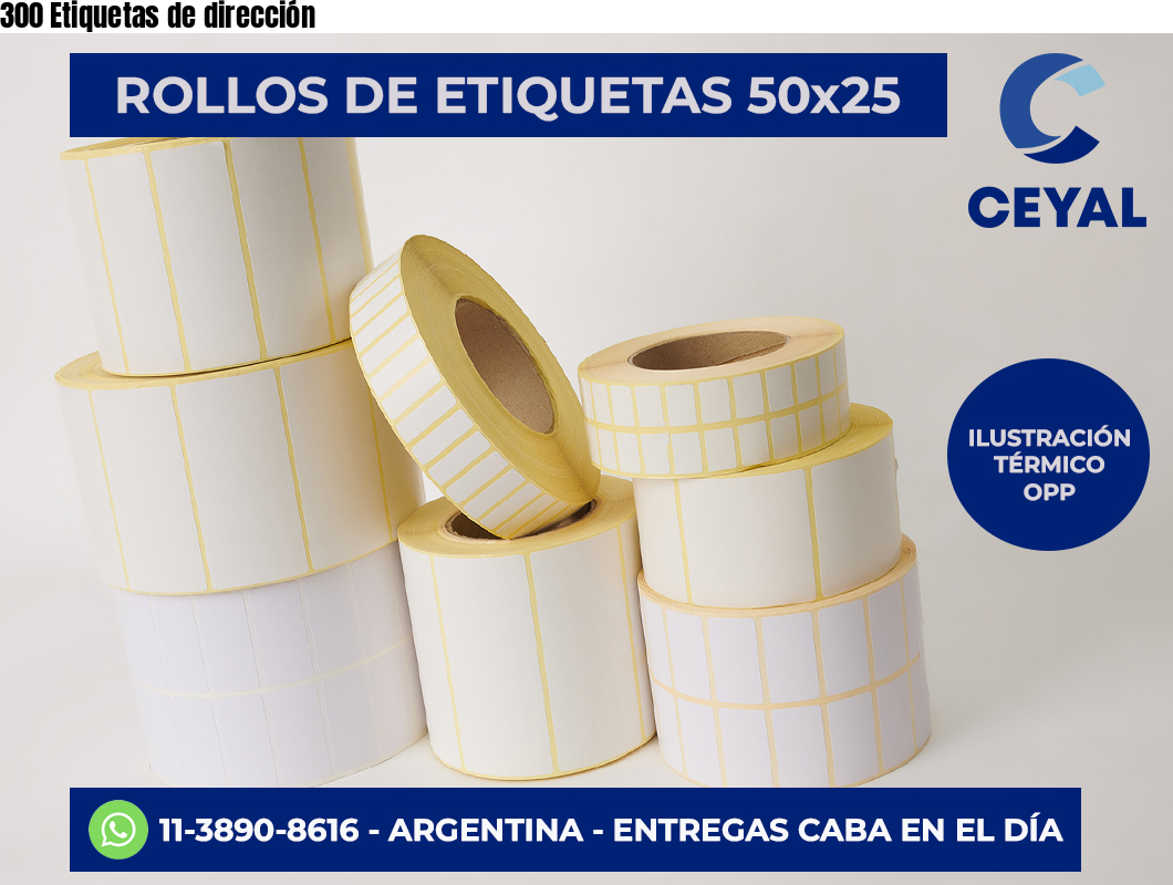 300 Etiquetas de dirección