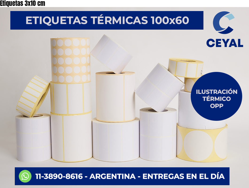 Etiquetas 3×10 cm
