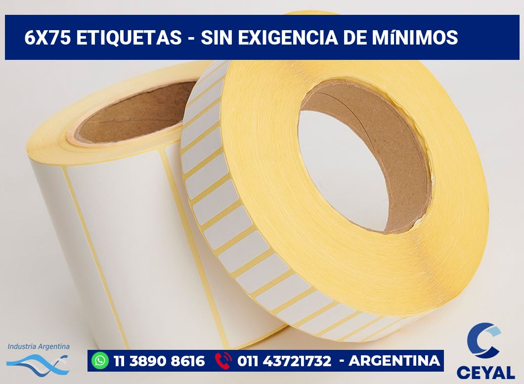6×75 Etiquetas