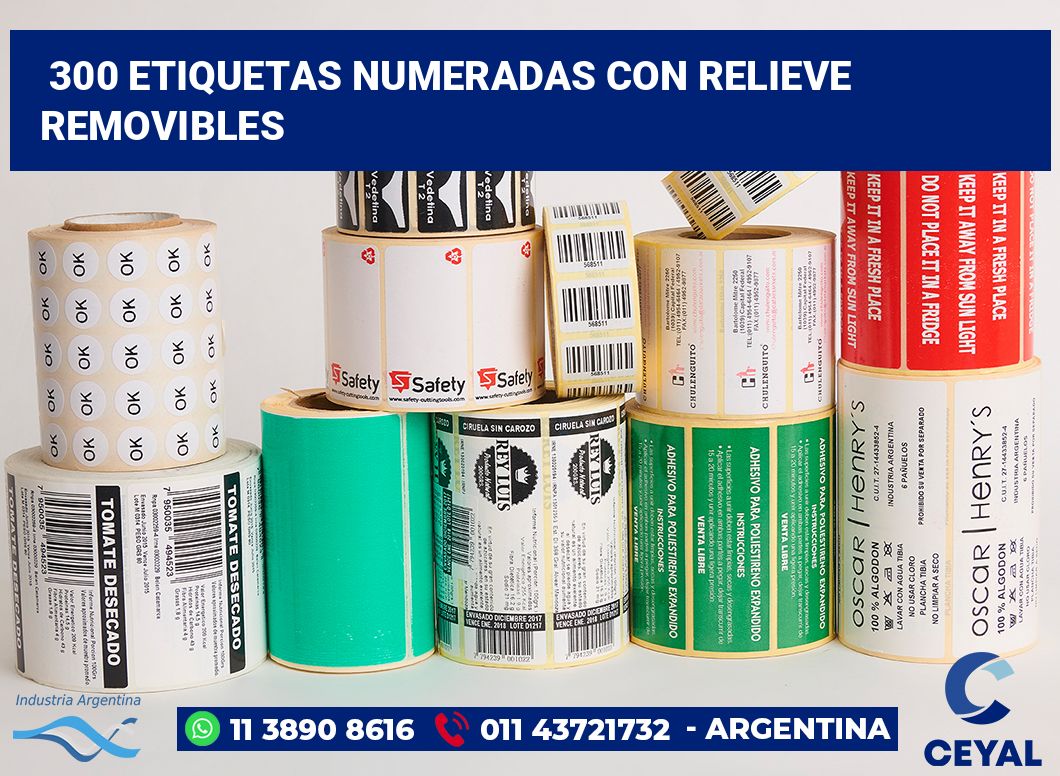 300 Etiquetas numeradas con relieve removibles