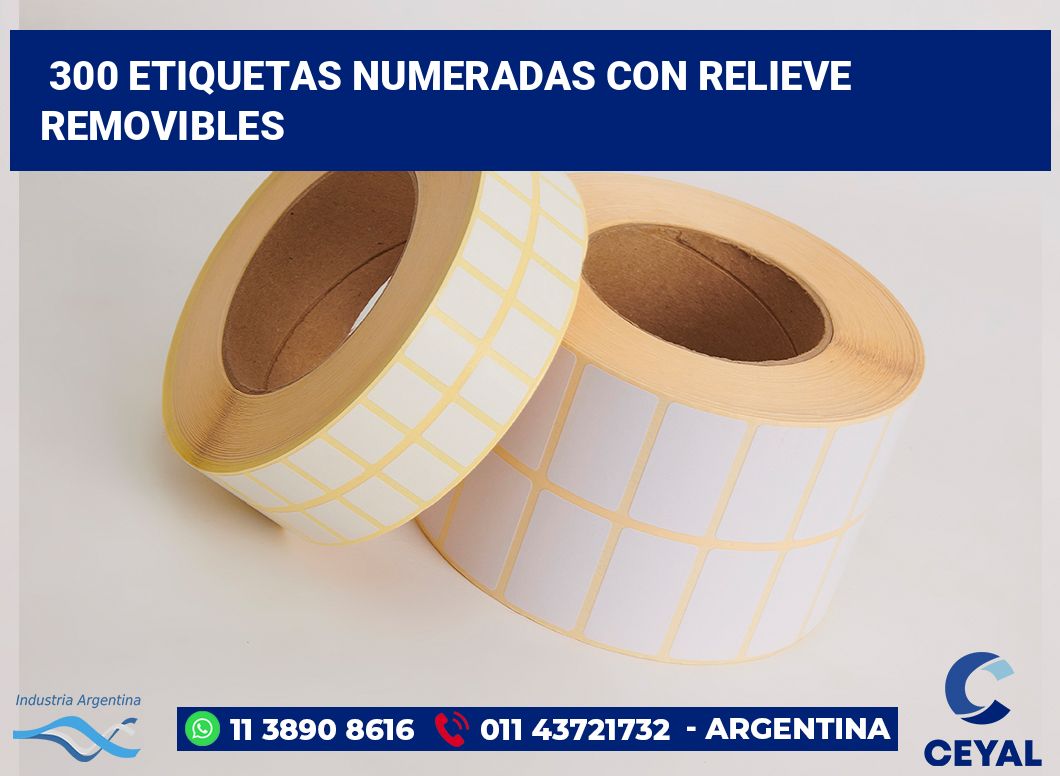 300 Etiquetas numeradas con relieve removibles