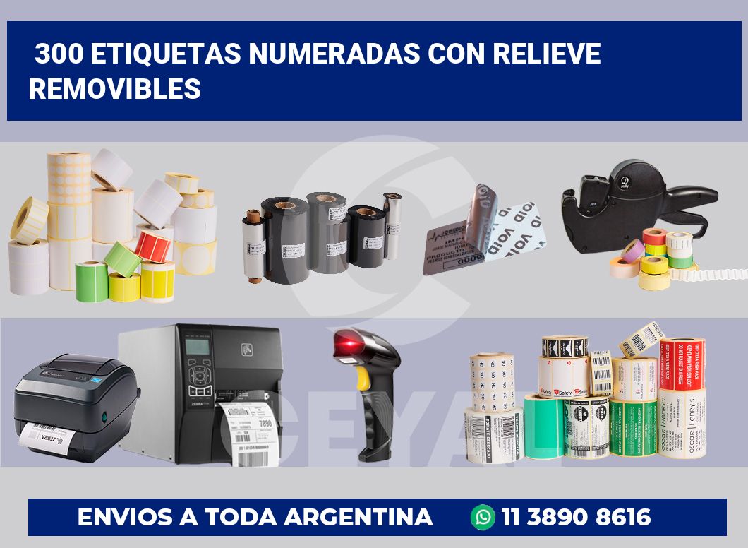300 Etiquetas numeradas con relieve removibles