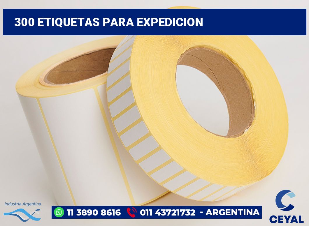 300 Etiquetas para expedicion