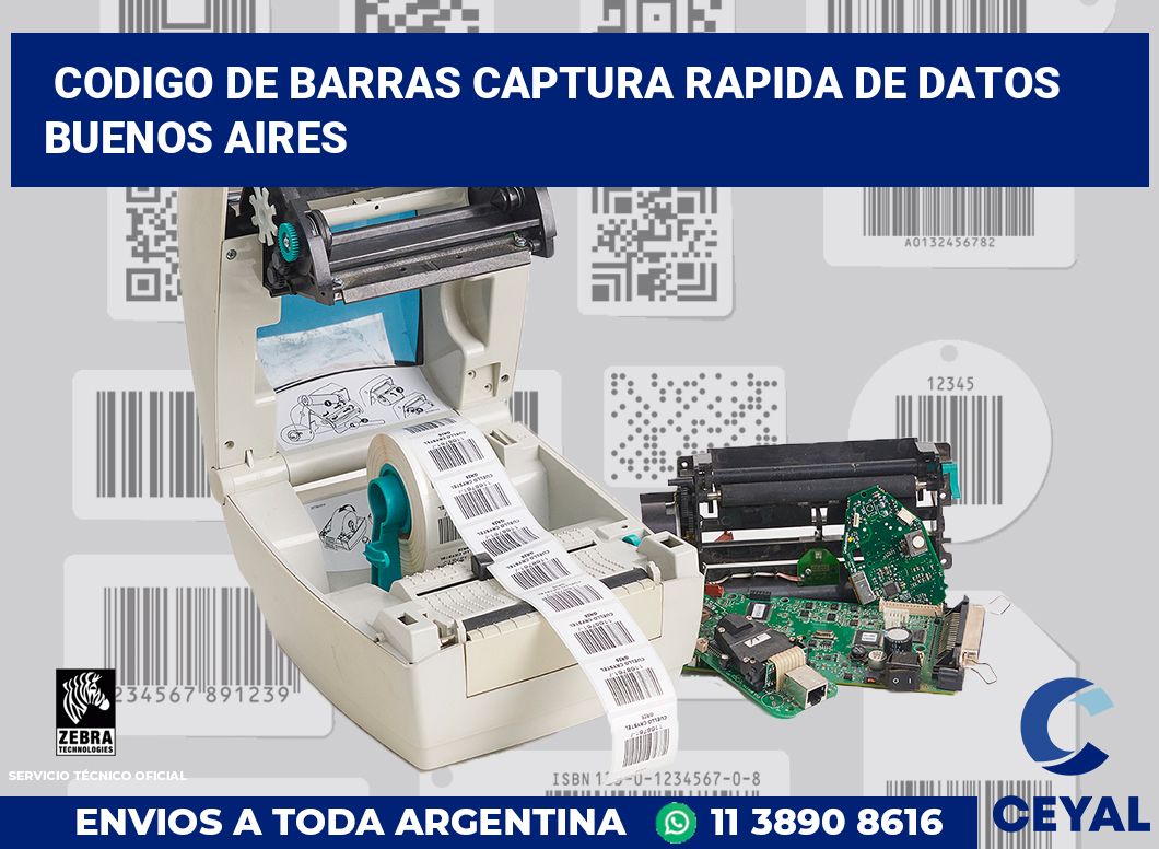 codigo de barras captura rapida de datos  Buenos Aires