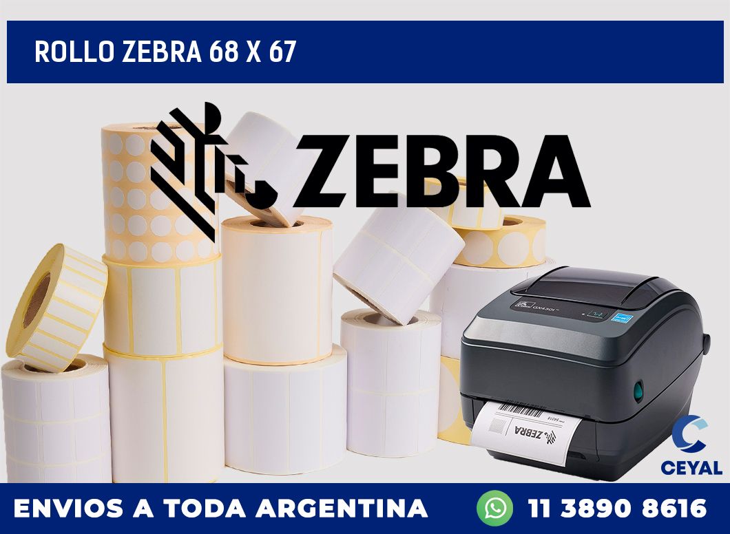 rollo zebra 68 x 67