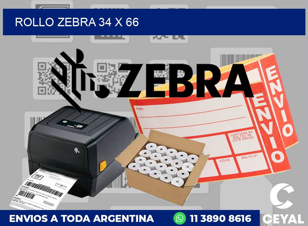 rollo zebra 34 x 66