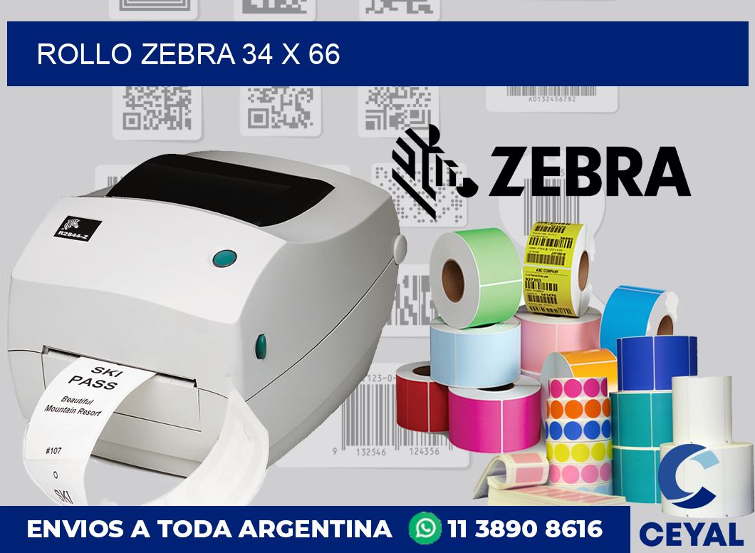 rollo zebra 34 x 66