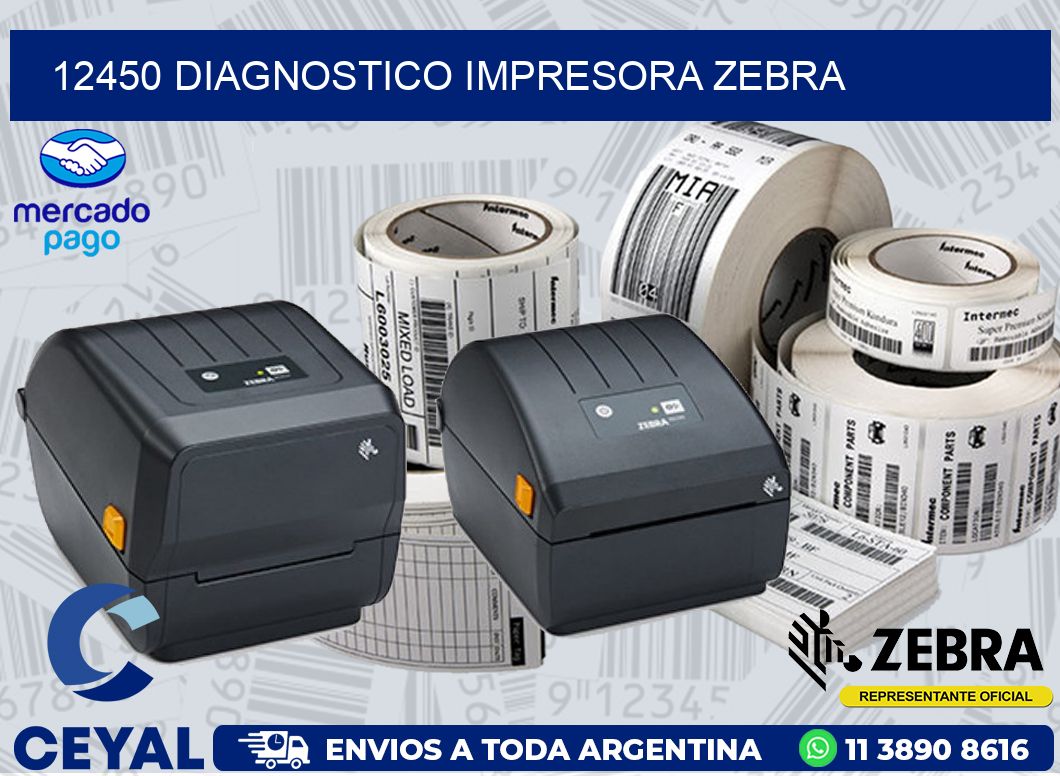 12450 DIAGNOSTICO IMPRESORA ZEBRA