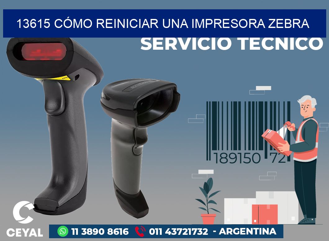 13615 CÓMO REINICIAR UNA IMPRESORA ZEBRA