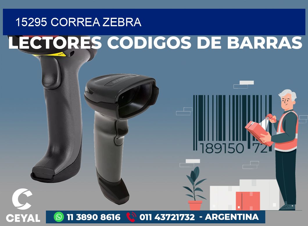 15295 CORREA ZEBRA