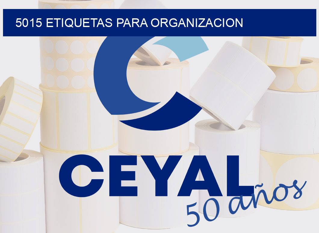 5015 ETIQUETAS PARA ORGANIZACION