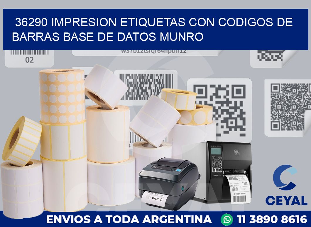 36290 IMPRESION ETIQUETAS CON CODIGOS DE BARRAS BASE DE DATOS MUNRO