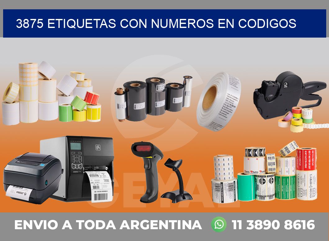 3875 ETIQUETAS CON NUMEROS EN CODIGOS