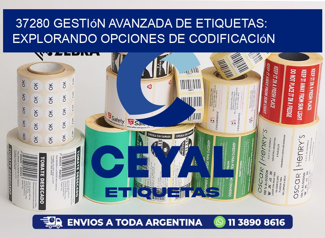 37280 Gestión Avanzada de Etiquetas: Explorando Opciones de Codificación