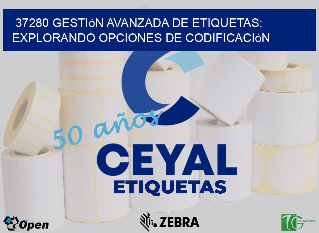 37280 Gestión Avanzada de Etiquetas: Explorando Opciones de Codificación