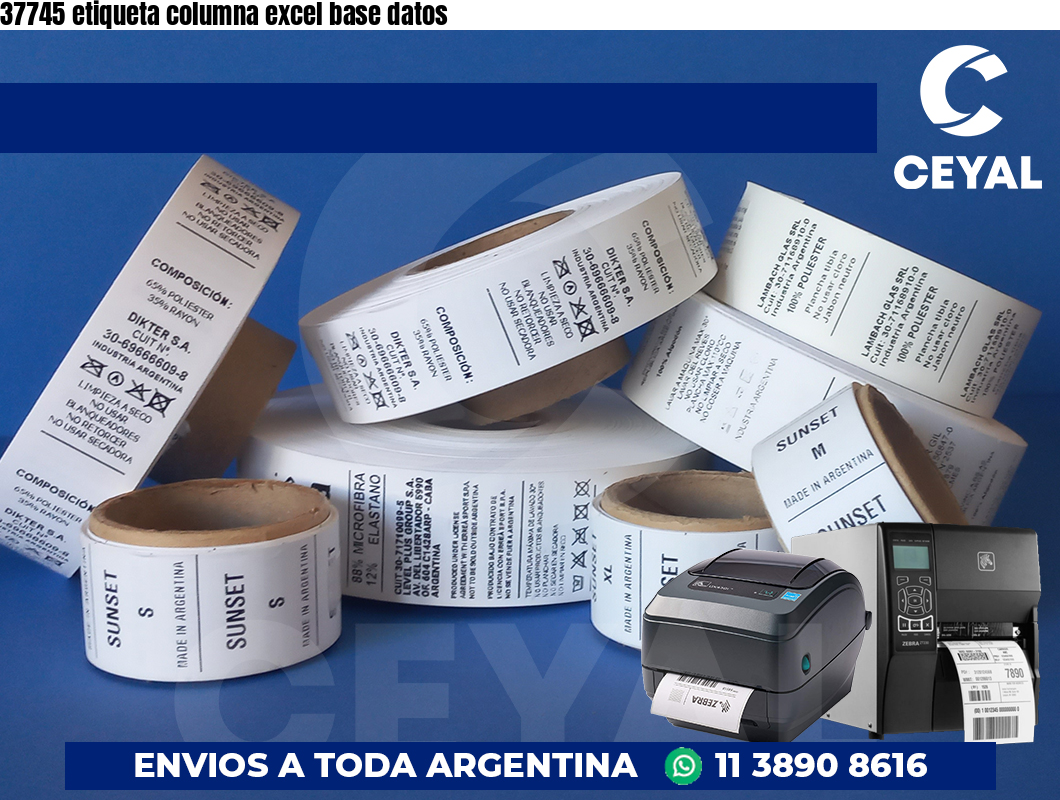 37745 etiqueta columna excel base datos