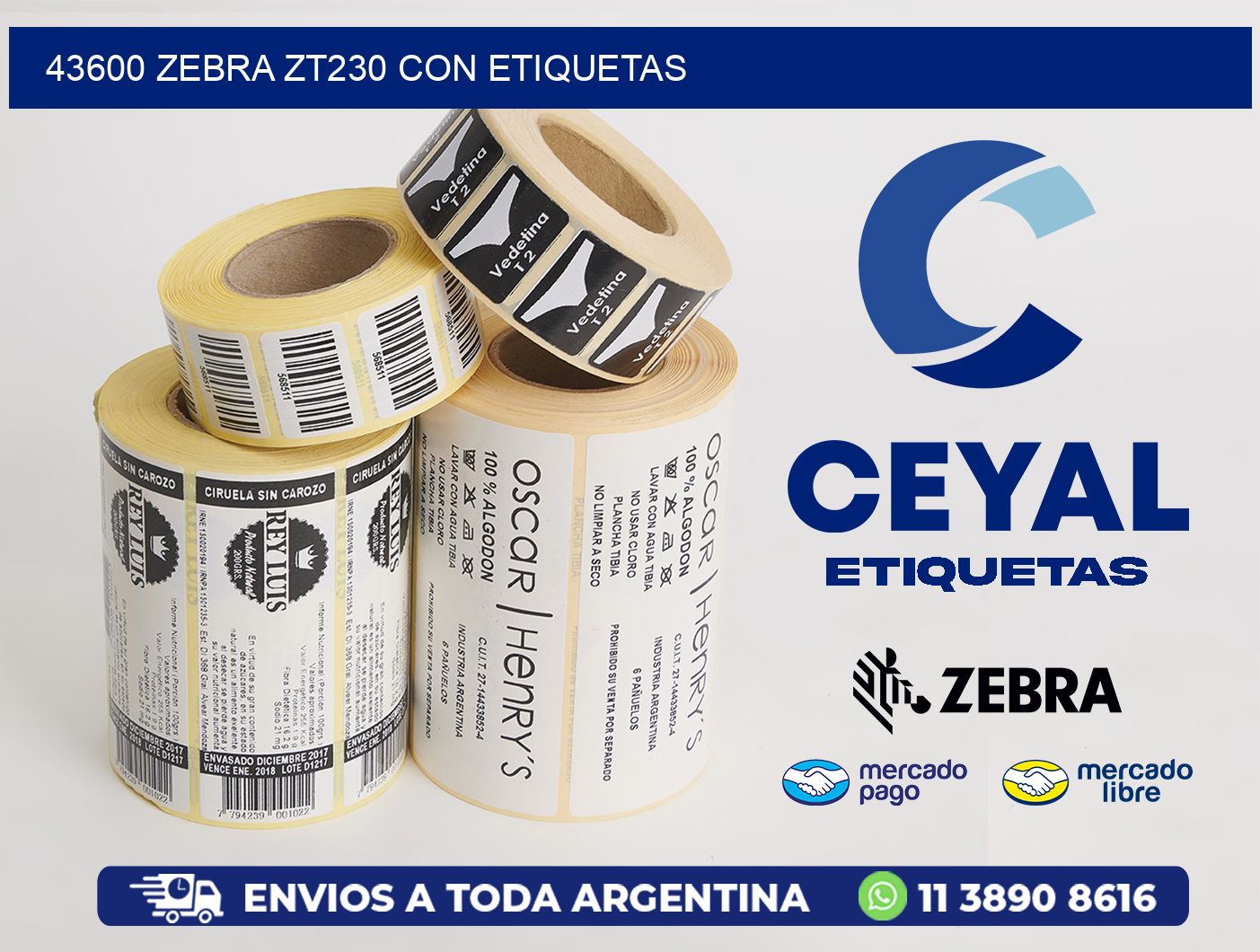 43600 Zebra ZT230 con Etiquetas